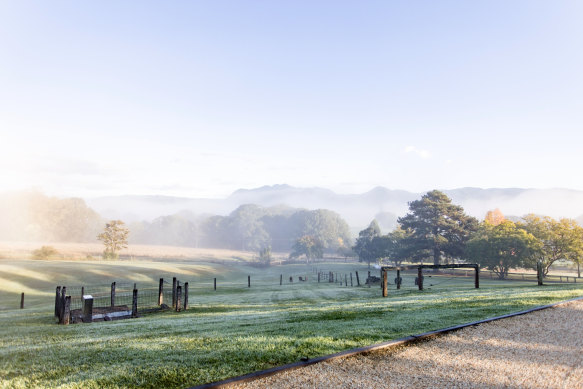 Dorrigo National Park is a beautiful backdrop to The Lodge.