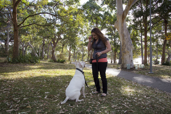 Dr Joanna McLachlan asks a canine friend to focus on her.