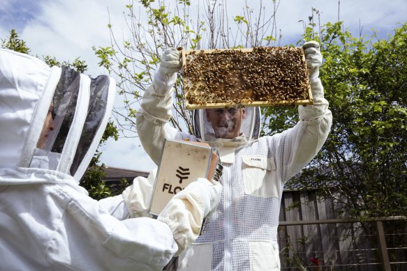 Beekeeper Gavin Sandercoe and his children, James and Natasha.