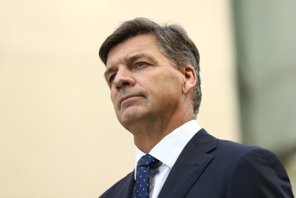 Game theory should come in handy for Angus Taylor.