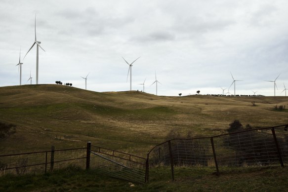 The Nationals have opened old Coalition wounds over net zero.