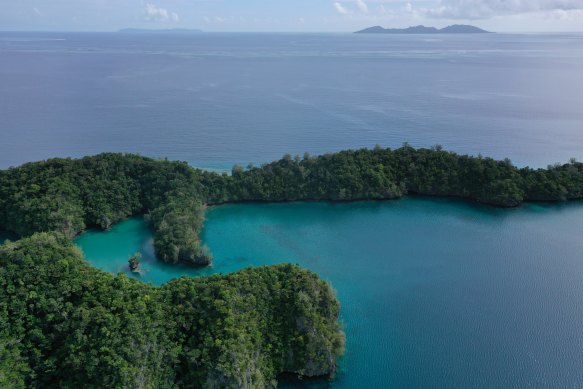 Vanua Balavu is home to the Pacific sheath-tailed bat, which is listed as endangered.