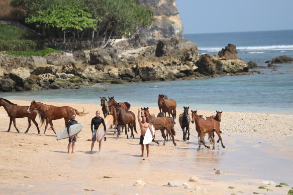 Horses on Sumba, Indonesia.