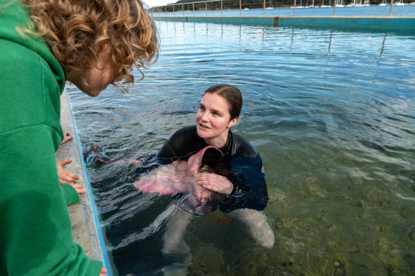 Best said the animals commonly became stuck in ocean pools from big surf or high tides.