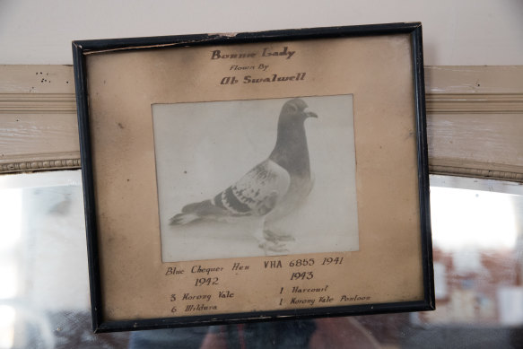 Photo of a 1940s champion bird in the hall.