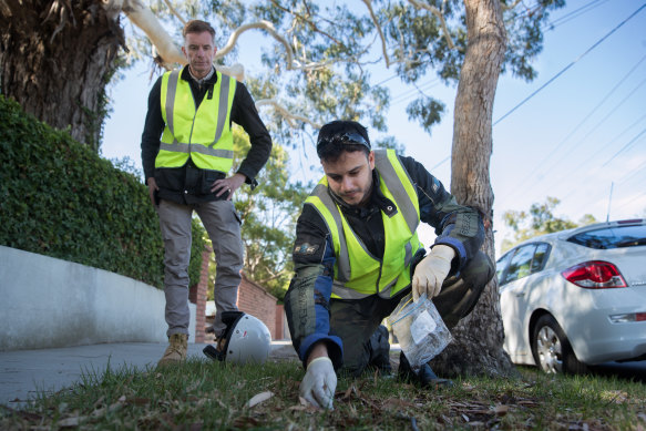 Researchers Tim Stinear, left, and Andrew Buultjens collecting possum scat samples as part of research into the Buruli ulcer.