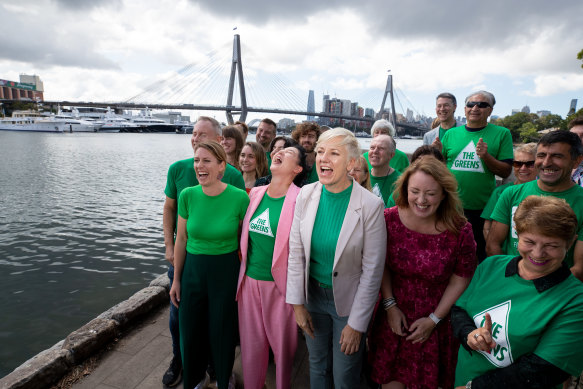 Some Greens MPs have been conspicuously missing in their public support for the Yes campaign