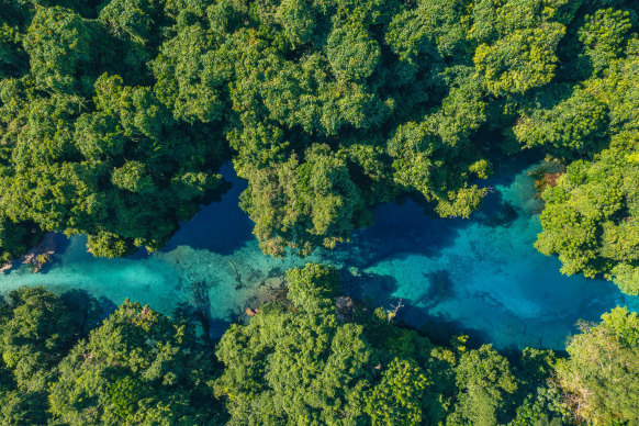 A “blue hole” on Espiritu Santo, Vanuatu.