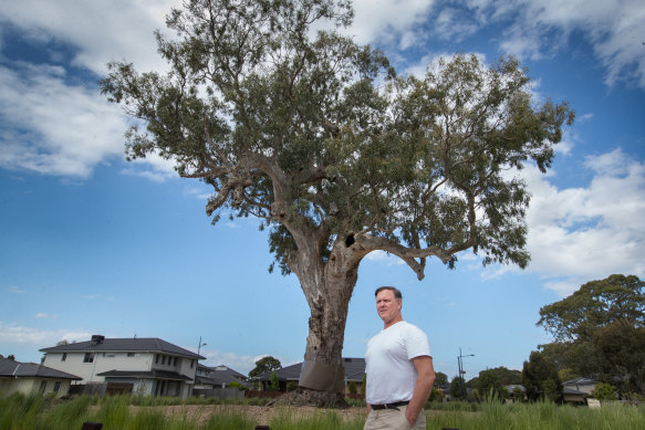 Frankston City councillor Glenn Aitken is pushing for more protection for river red gums.