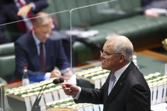 Opposition Leader Anthony Albanese and Prime Minister Scott Morrison during question time last week.