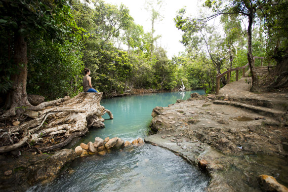 The lush Cardwell Spa Pool entices visitors for a dip.