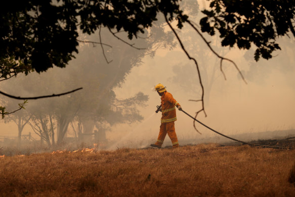 A firefighter in the Adelaide Hills on Friday.