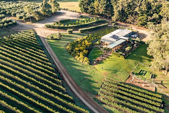 Green Olive at Red Hill — A farm-to-table winery experience with grazing plates, estate wines, olive groves, and friendly animals, set on 27 acres in Victoria’s lush Mornington Peninsula.