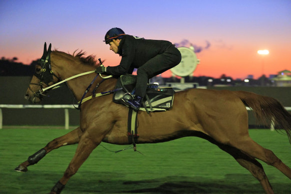 James McDonald rides Nature Strip during a trackwork session ahead of The Everest at Rosehill Gardens in 2020.