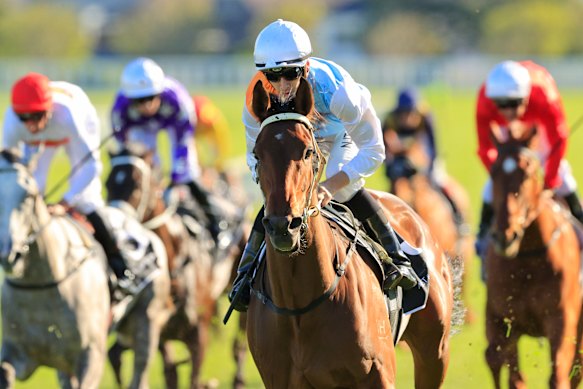 David Payne’s Montefilia wins the Spring Champion Stakes in 2020.