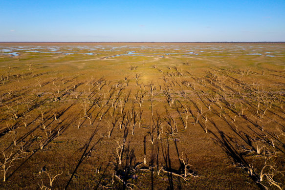 Farmers and towns on the Murray Darling river system are currently battling severe drought and sky-high water prices.