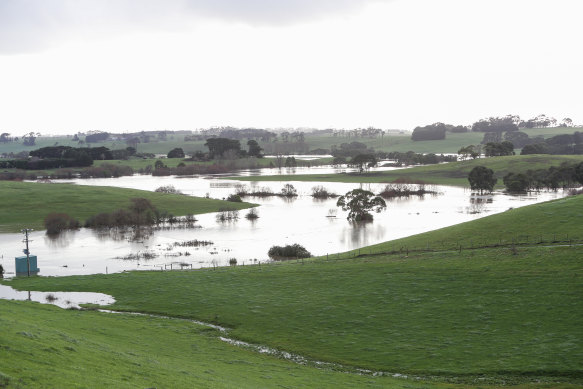 Flooded farmland in the Moyne Shire in August.