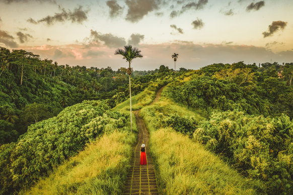 The beautiful walk along Campuhan Ridge in Ubud.