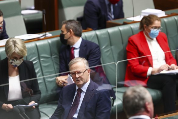 Anthony Albanese in Parliament on Thursday.