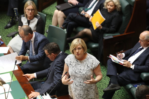 Emergency Services Minister Lisa Neville speaks during the bushfire condolence motion in State Parliament on Wednesday.