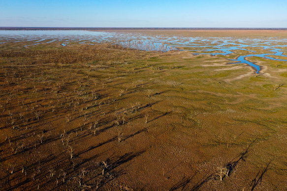Lake Pamamaroo, part of the Menindee Lake system in western NSW, is nearly dry. 