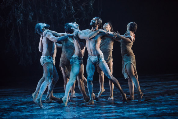 Thrilling developments in Indigenous dance led to the founding of Bangarra Dance Theatre.