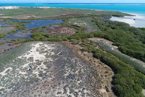 Researchers collected data in Mangrove Bay near Exmouth.
