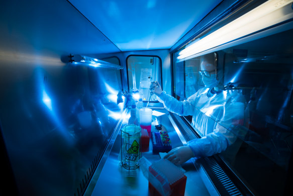 A coronavirus sample is analysed at University Hospital Geelong on 12th August 2020.