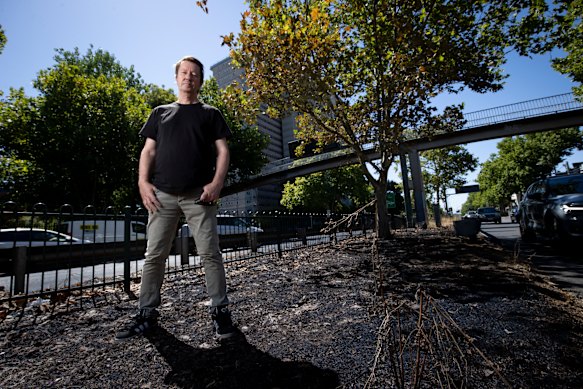 Yarra Mayor Stephen Jolly at the site of Saturday’s Hoddle Street median-strip blaze.