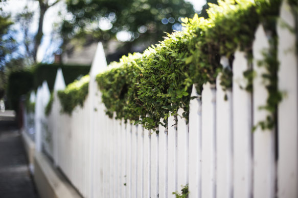 A clipped hedge adds a layer of privacy behind this white picket fence.
