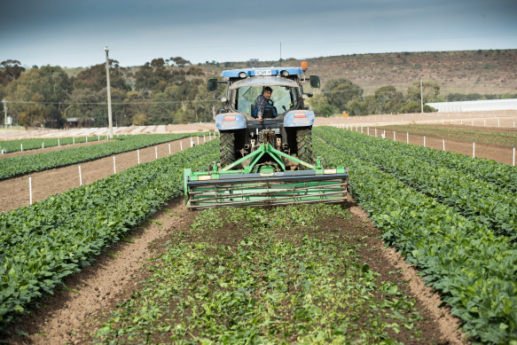 Dino Boratto in his tractor.