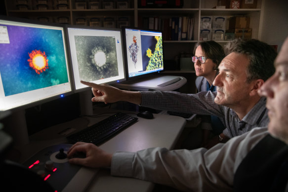 Scientists from the Peter Doherty Institute for Infection and Immunity examine a close up electron microscope image of the SARS-CoV-2 omicron variant of the coronavirus. 