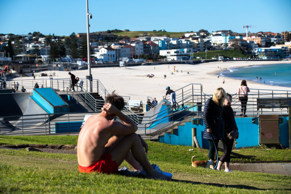 Public urination in Bondi Park  is a “regular, everyday occurrence”, according to Concrete Skate Supply co-owner Chris Vaughan.