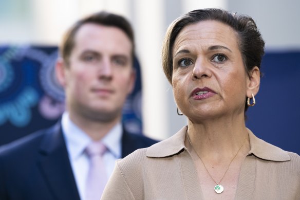 Communications Minister Michelle Rowland said the government would use the Stevens review to inform broader reforms to Australia’s classification scheme.