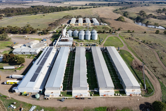 A highly pathogenic strain of avian flu was detected at the vast egg farm in Meredith.