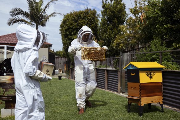 Gavin Sandercoe and his children, James and Natasha, have started beekeeping during COVID-19 lockdowns.