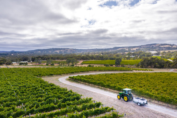 Yangarra in McLaren Vale, SA.