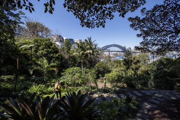 Australia is spoiled for green spaces. Pictured: Wendy Whiteley’s Secret Garden.