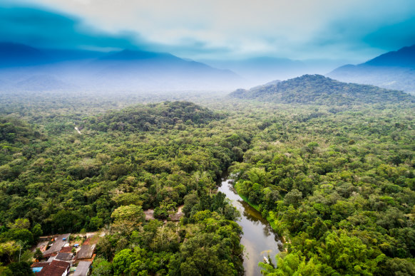 The Amazon Rainforest from above.