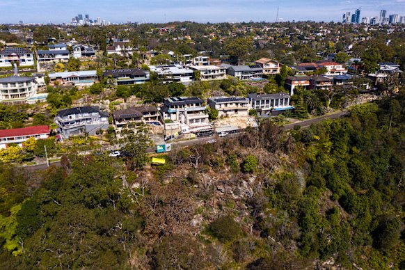 Vandals destroyed 265 trees covering an area the size of 14 tennis courts in Sydney’s Castle Cove in the middle of 2023.