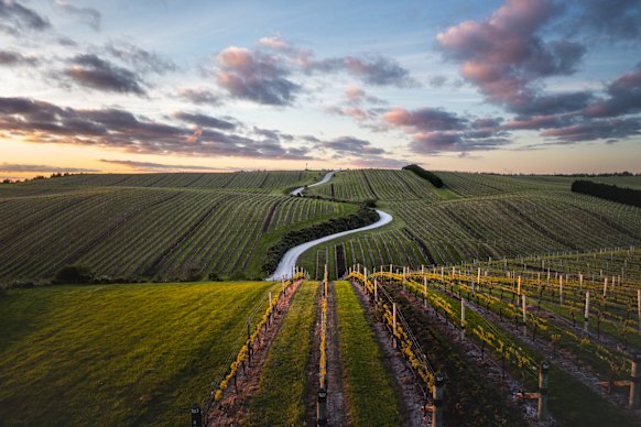A região de Marlborough é conhecida mundialmente pelo seu sauvignon blanc. 