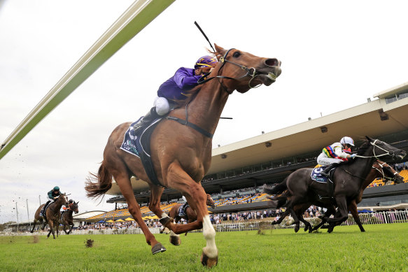 Mr Mosaic fights back on the rails under Reece Jones.