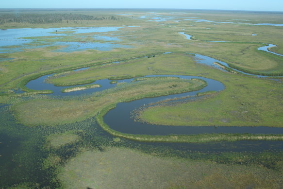 Wetlands in the Great Cambung Swamp at the end of the Lachlan River begin to fill up.