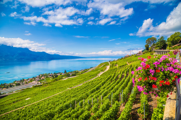 Switzerland's Lavaux wine region, a UNESCO World Heritage Site since 2007.