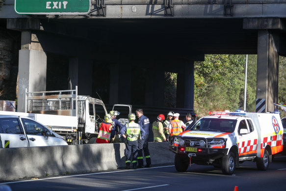 Tragedy: John Cerezo and Cathy O'Malley were killed in a multiple-vehicle crash on the M1 at Wollongong.