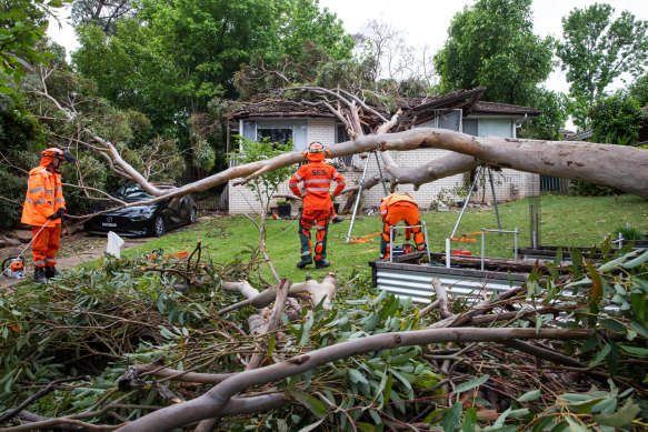 Heavy rainfall caused a tree in Blaxland fall on a house.