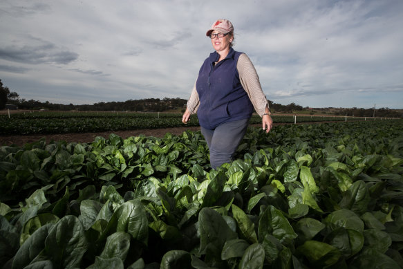Rae McFarlane in a spinach field.