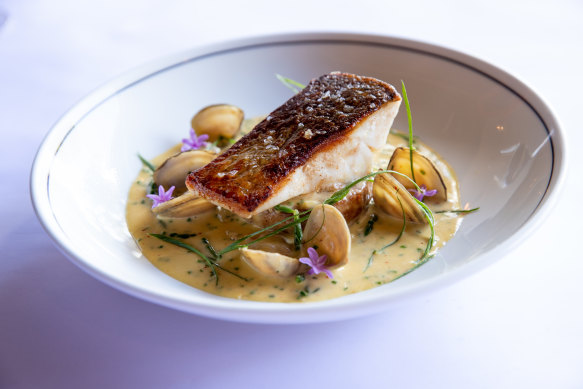 Aquna’s Murray cod served at Bistro Moncur in Woolahra, Sydney.