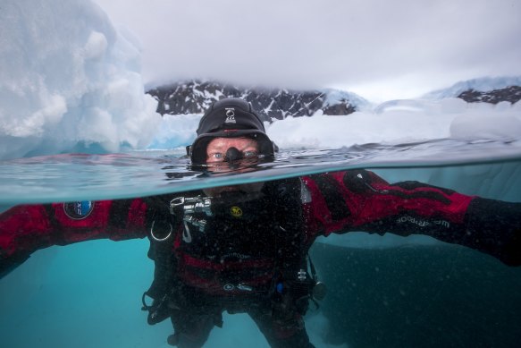 An icy swim with ocean giants.