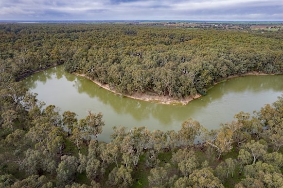 The government says the project will help protect these red gum-covered floodplains.